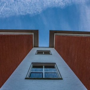 IMG_6667